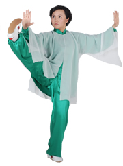 Faye Yip, Heel Kick