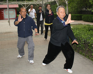 Tai Chi training with world class masters